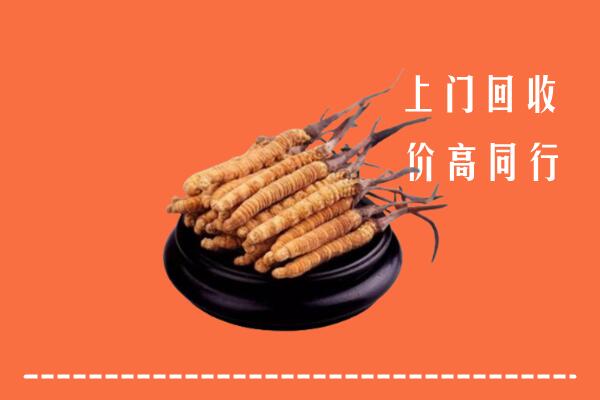 达州市宣汉回收散虫草