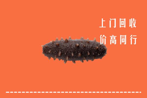 高价求购：达州市宣汉回收海参