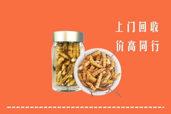 达州市宣汉回收冬虫夏草